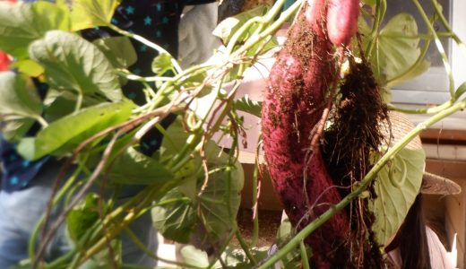 下のソーシャルリンクからフォロー