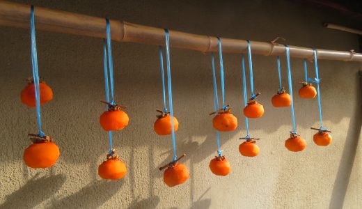 保護中: つくし園　　　12月　～　お散歩　秋から冬へ　～