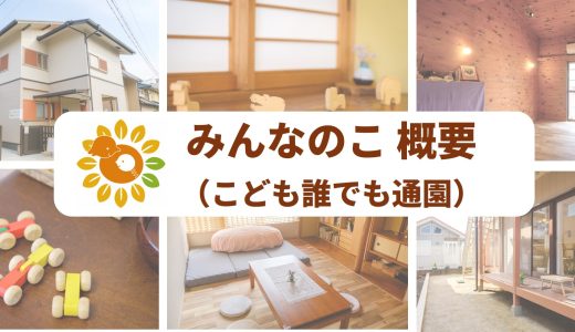「みんなのこ」概要（こども誰でも通園制度）